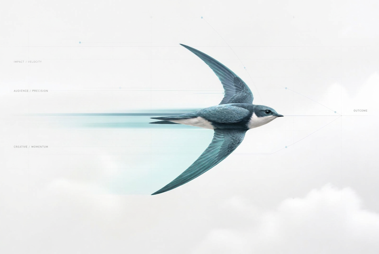 A white-throated needletail swift in fast level flight, symbol of Needletail's speed and precision